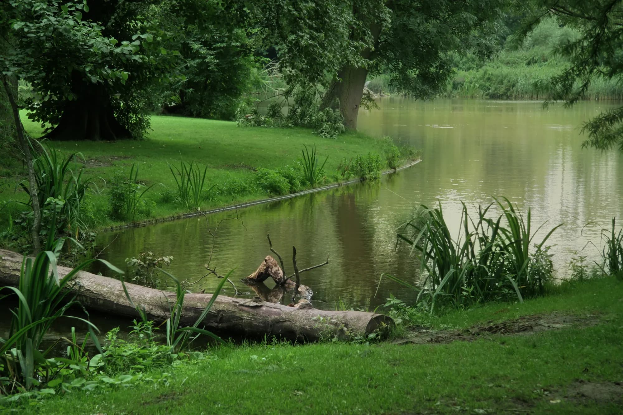 Vondelpark amsterdam