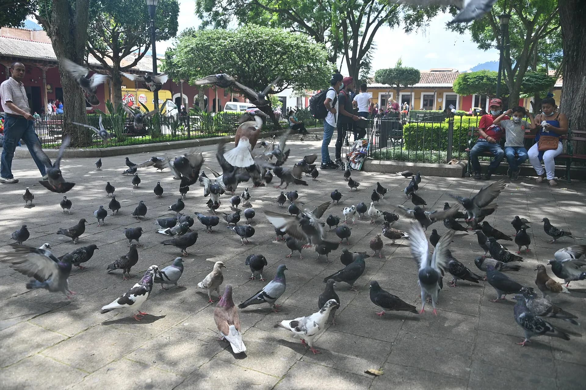 Parque Central, Antigua Guatemala 17