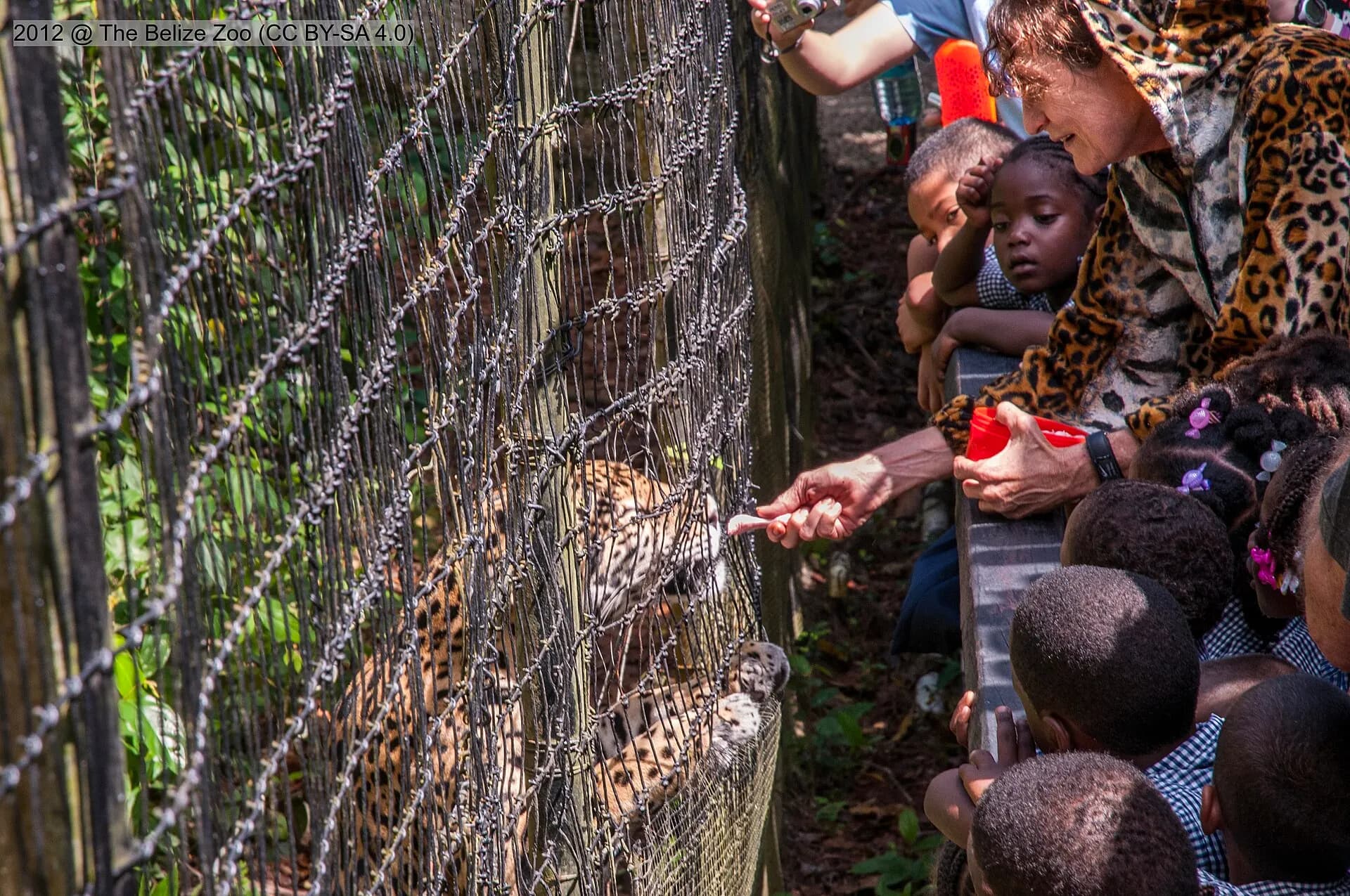 Sharon Matola with children at Junior Buddy's 5th Birthday Celebration at The Belize Zoo, 2012-02-21