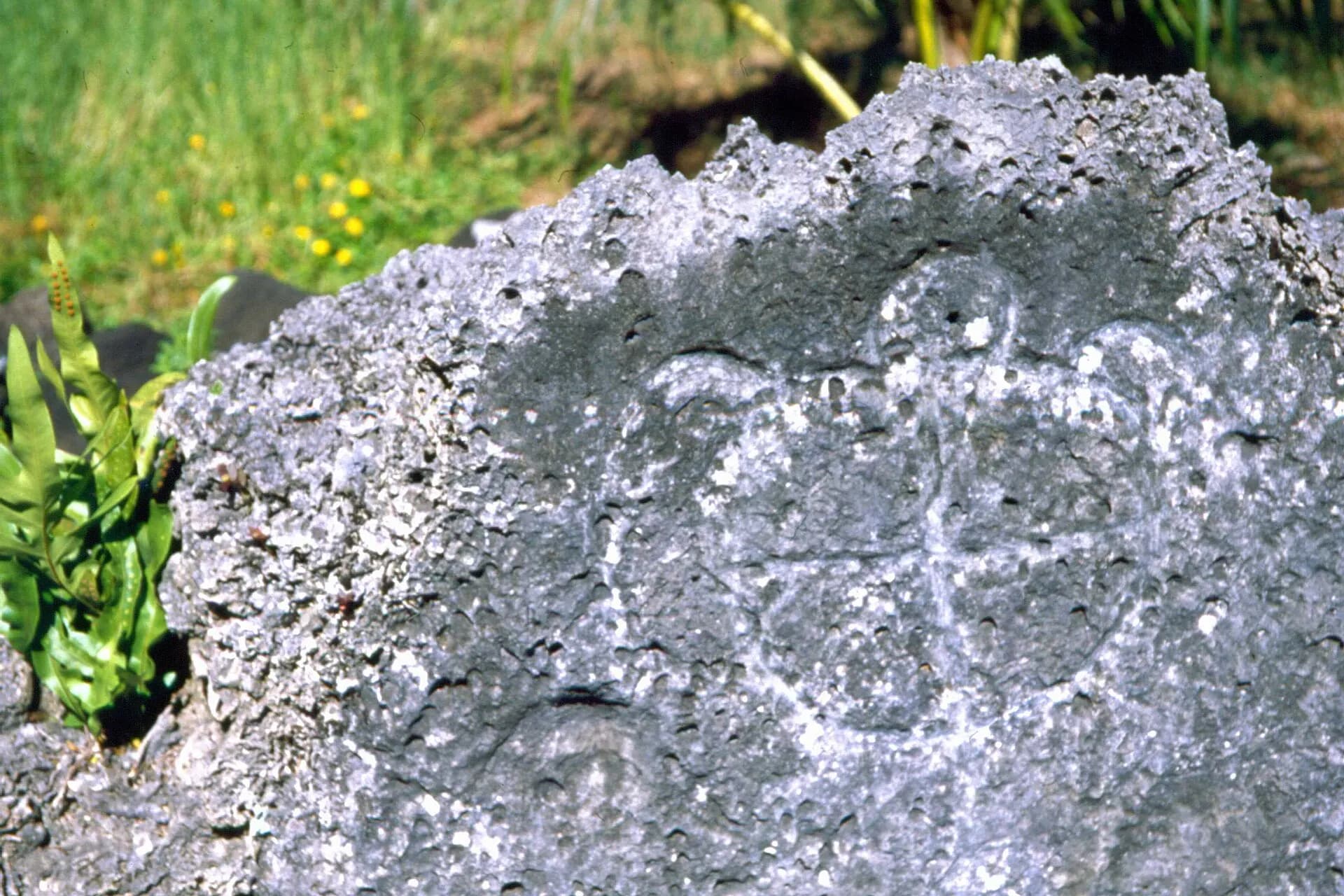 BoraBora Marae2
