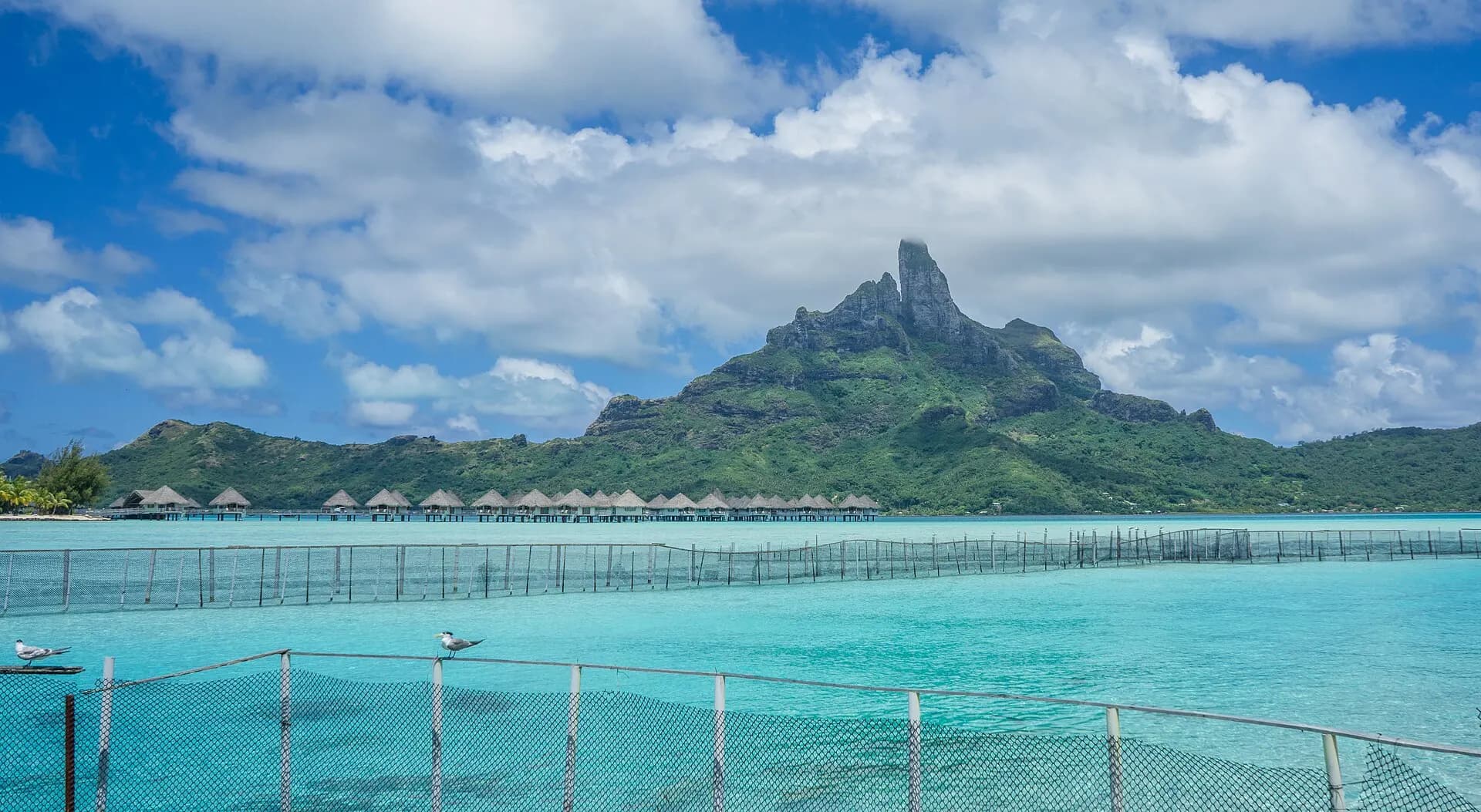 Bora-Bora French Polynesia - panoramio (25)