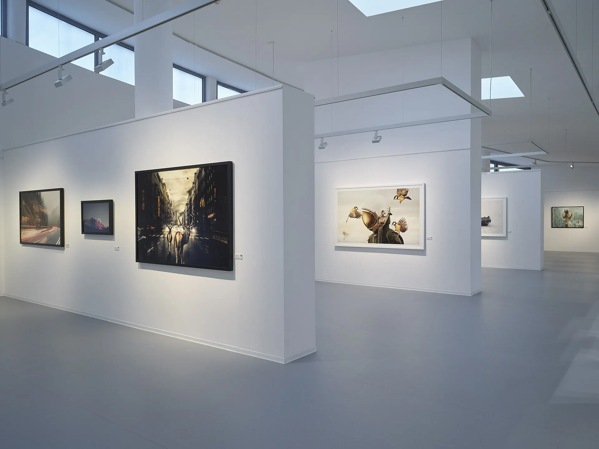 Danubiana Meulensteen Art Museum, Martin Stranka
