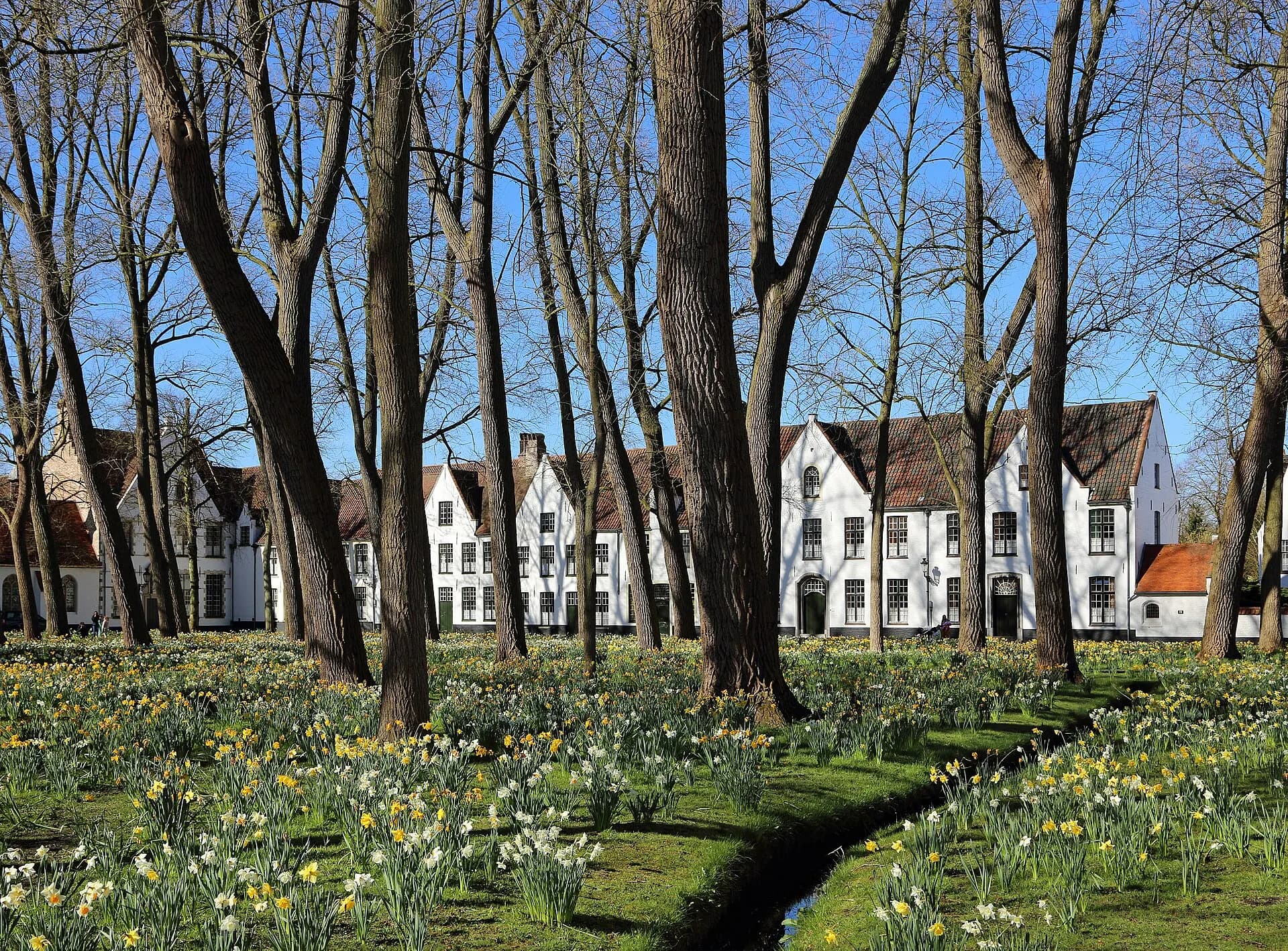 Brugge Begijnhof R01