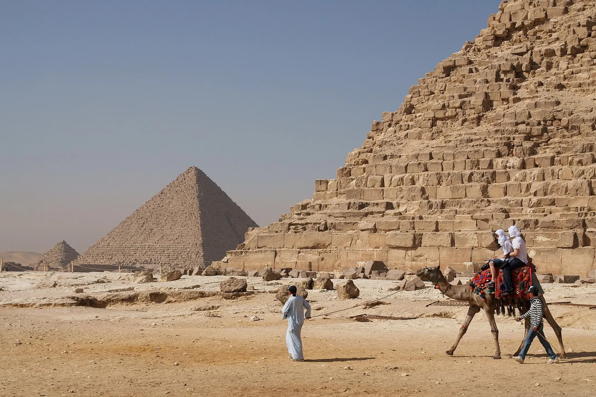 Camel and the pyramids