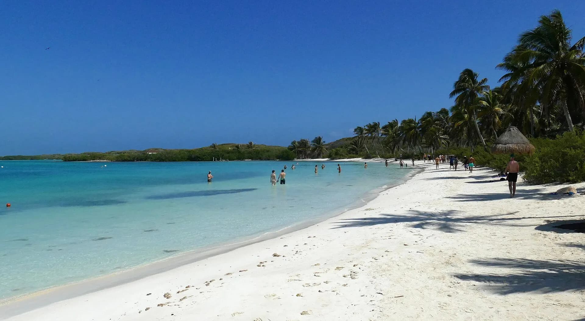 Isla Contoy Beach - Quintana Roo 2020