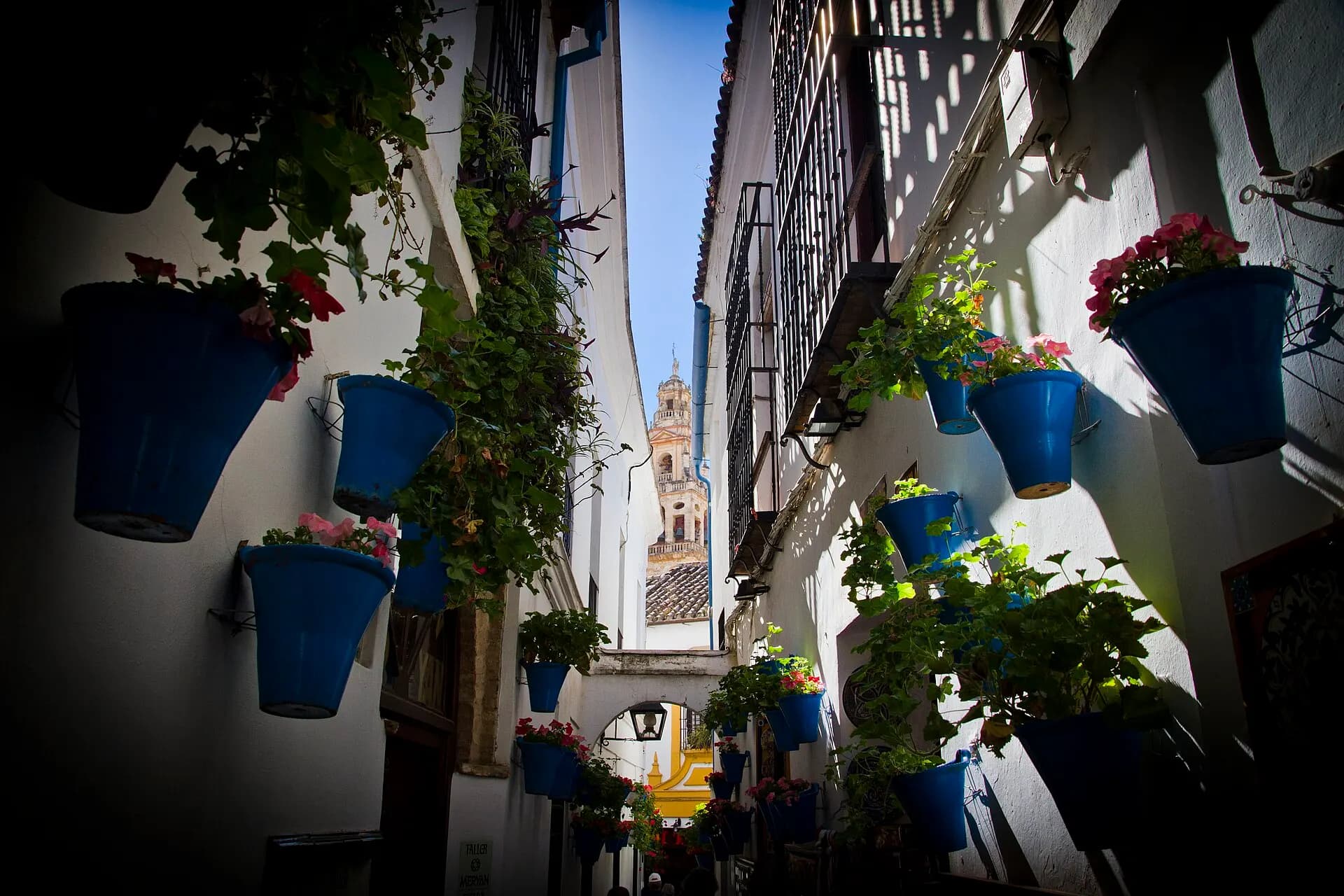 Calleja de las Flores 002