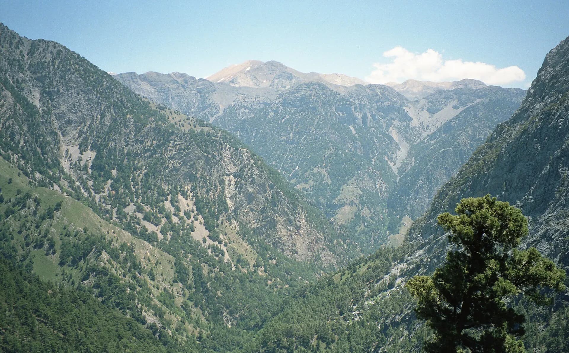 Samaria Gorge, Crete (150857) (9450576425)