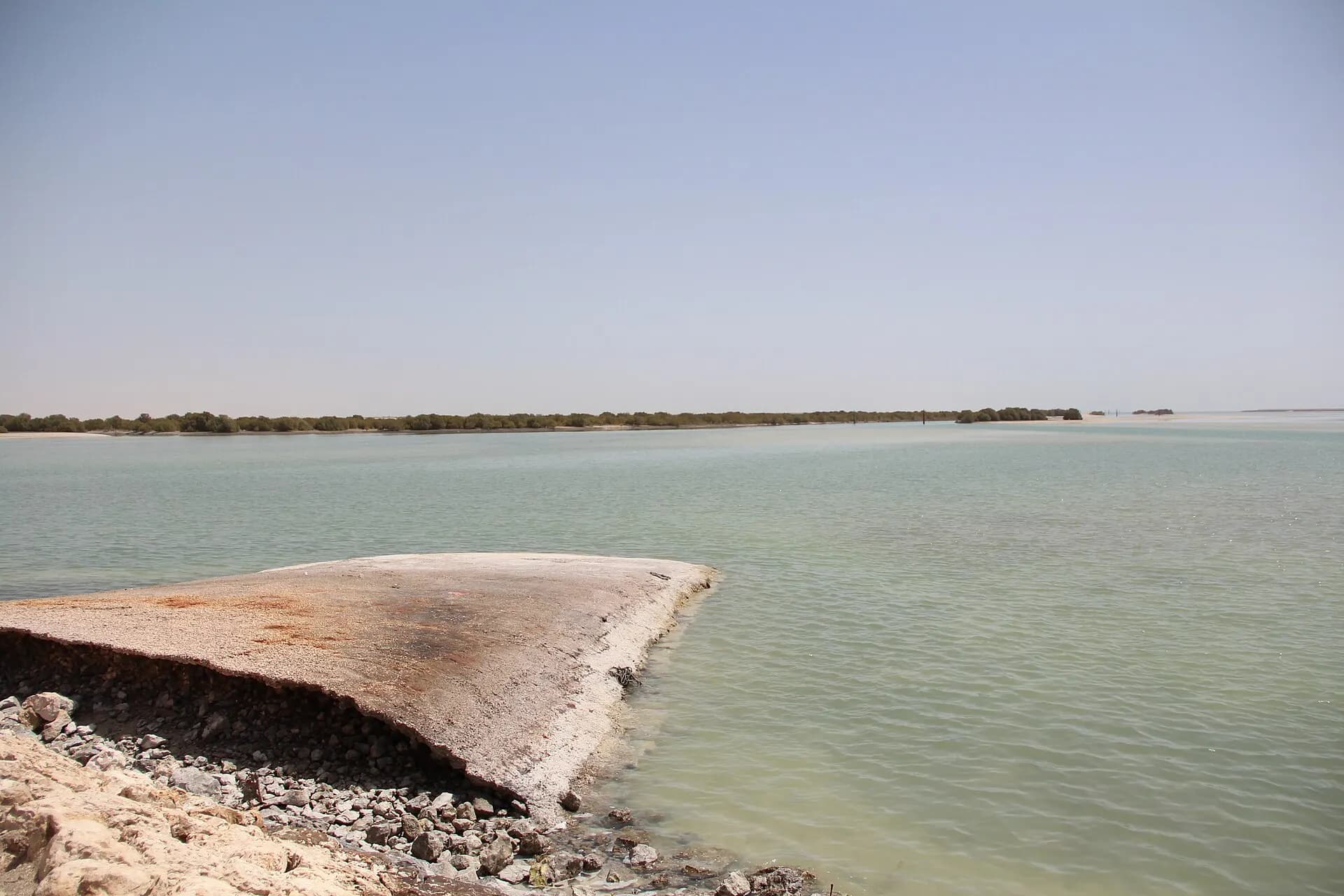 View of mangrove forest in Al Thakhira from the beach