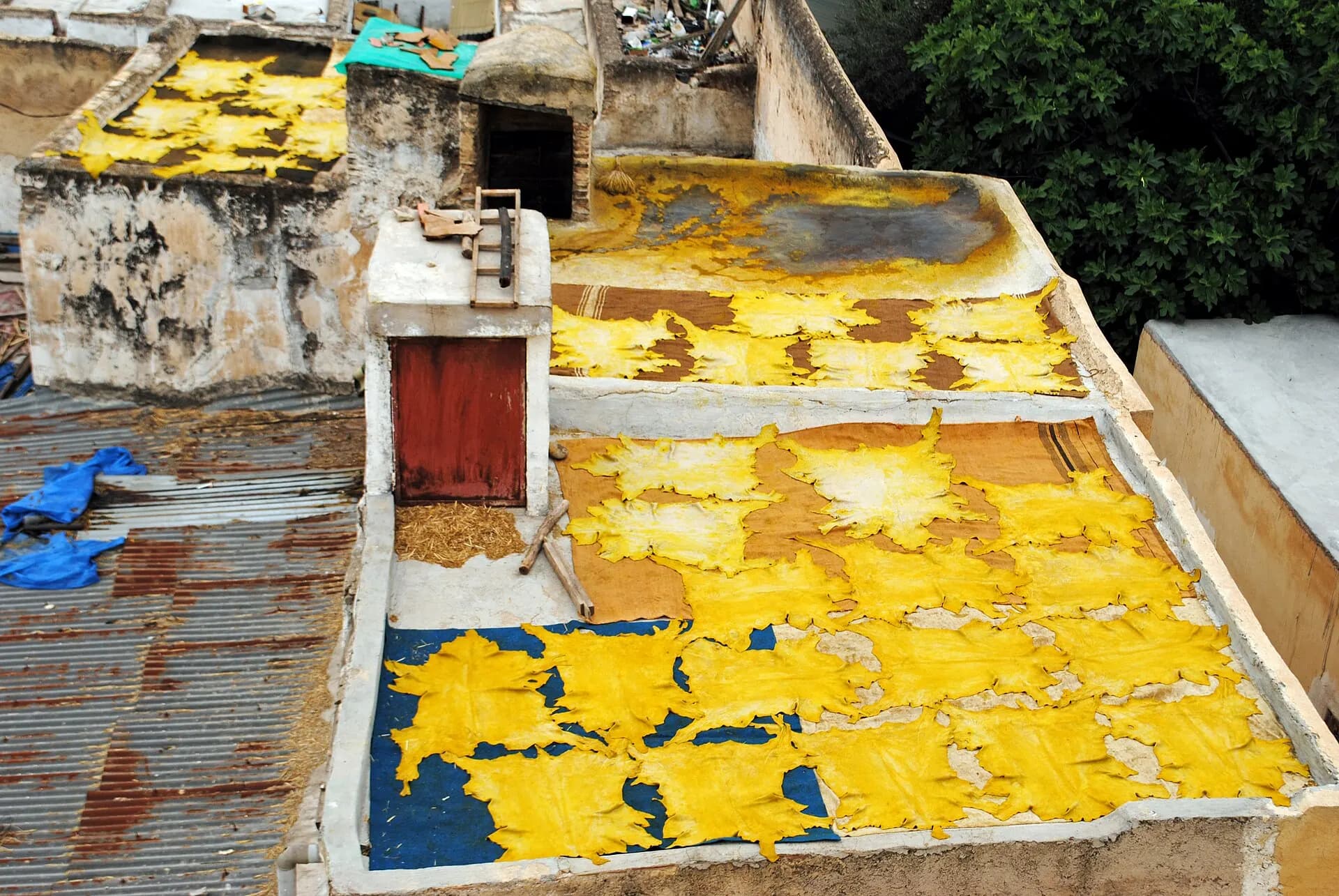 Chouara Tannery, Fes (8947682350)