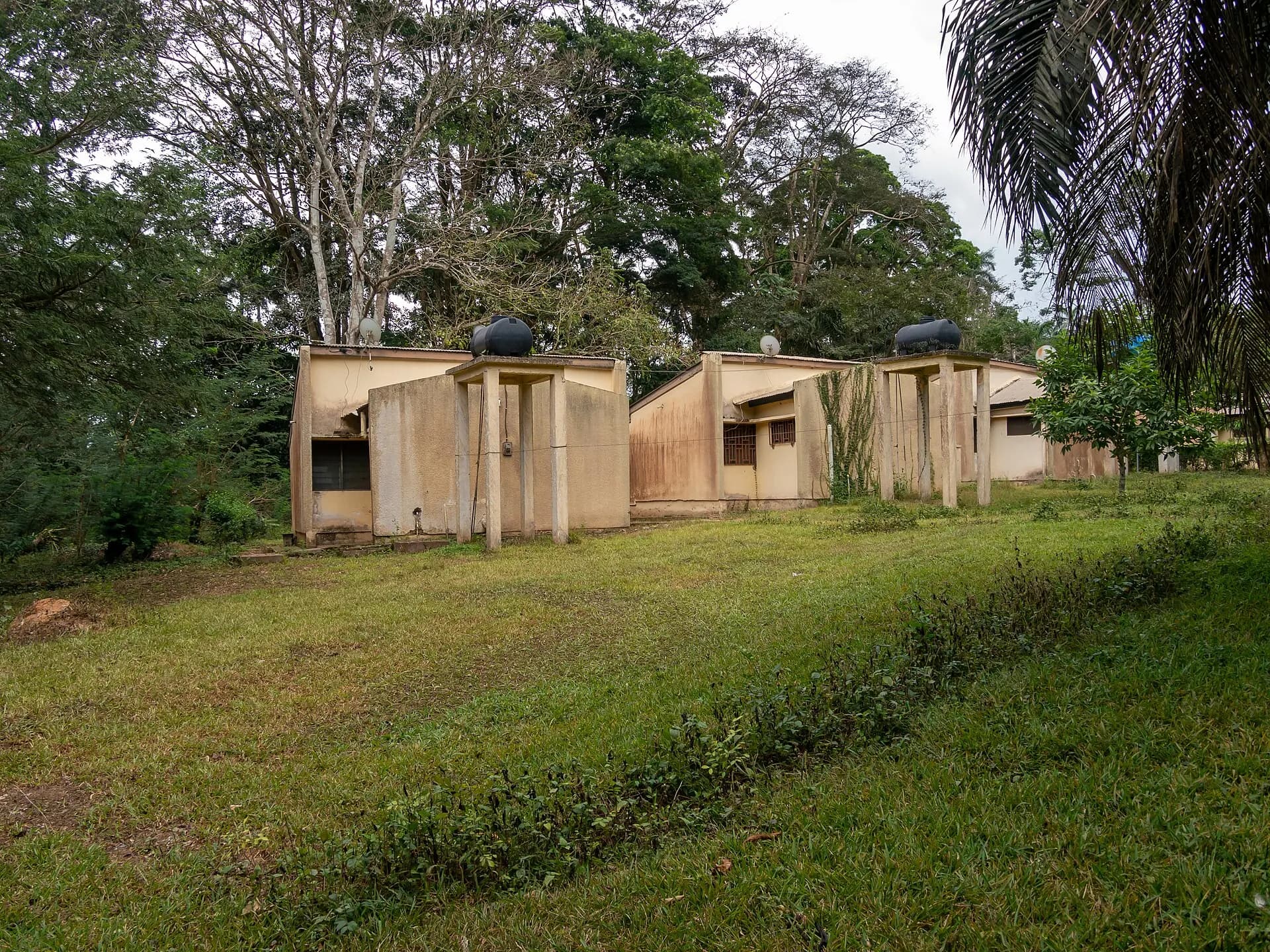 Botanical Gardens, Aburi (P1090818)