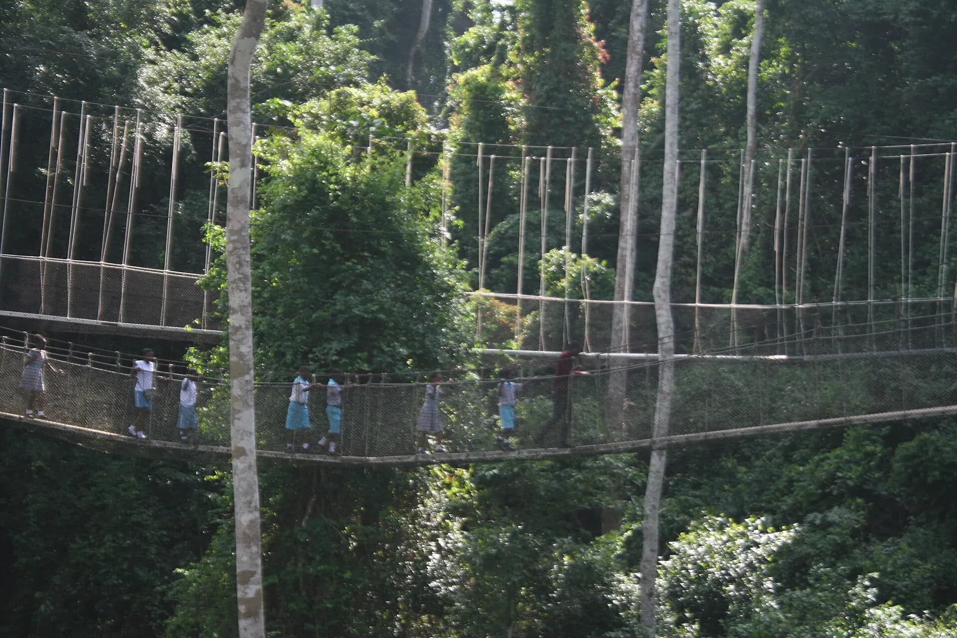 Canopy walkway at Kakum National Park 2