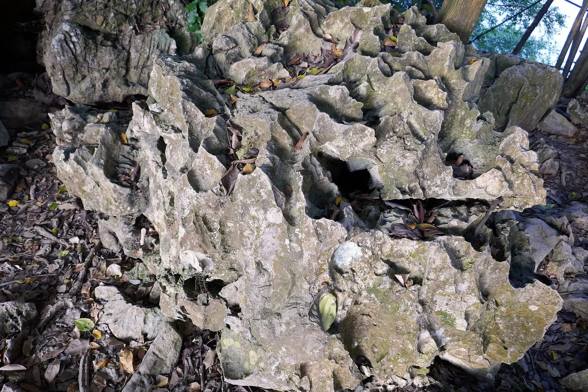 Me Cung Cave (18)
