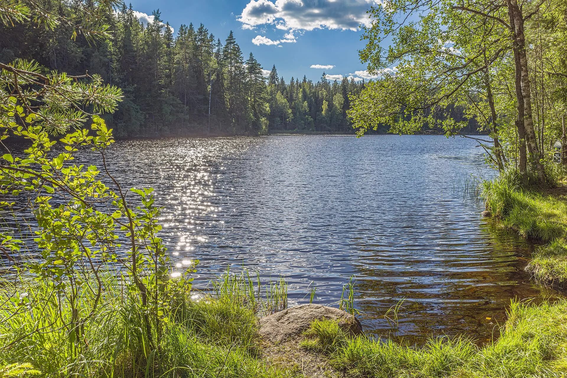Nuuksio National Park 8-2022 4