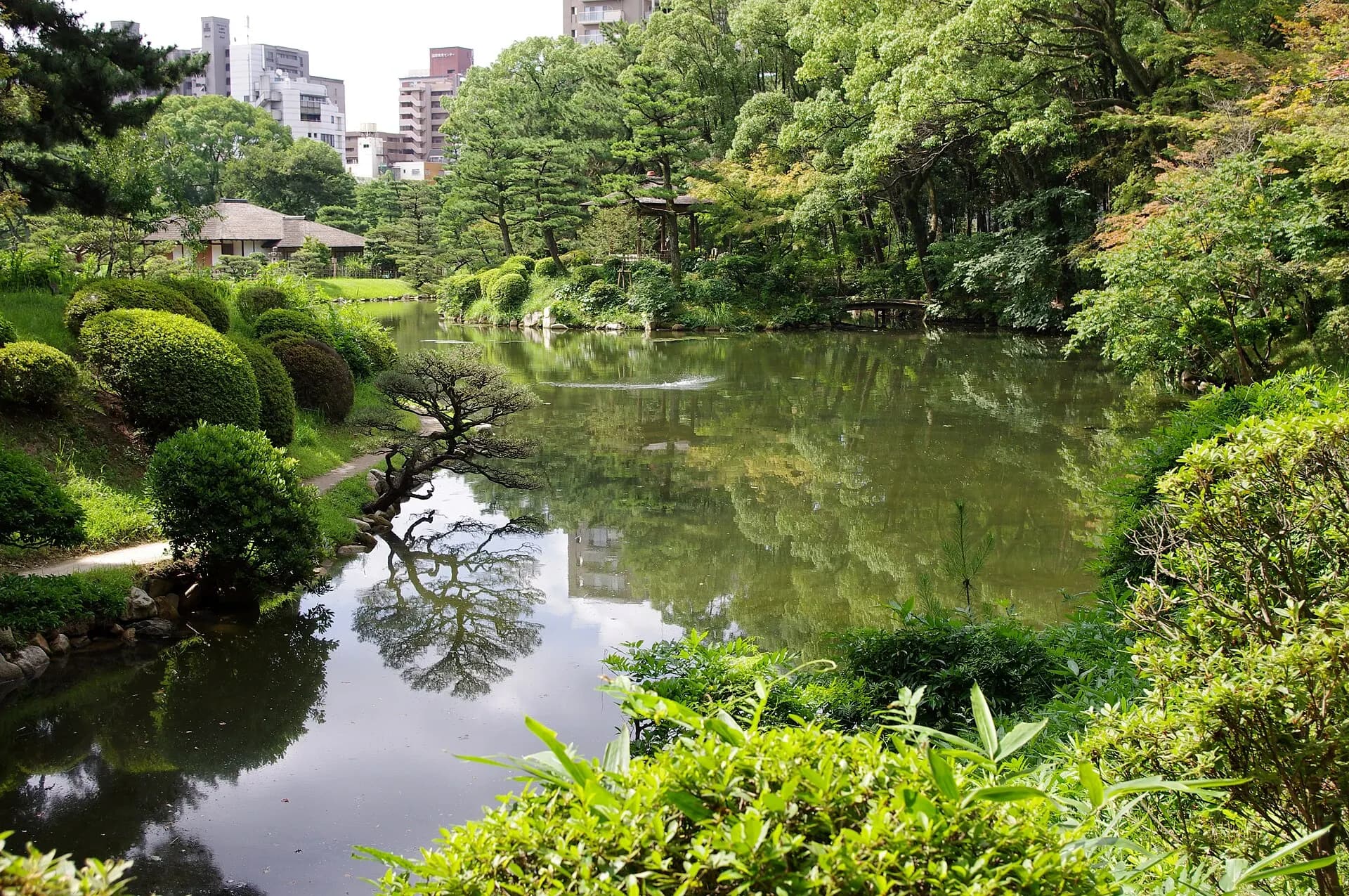 20100722 Hiroshima Shukkeien 4387