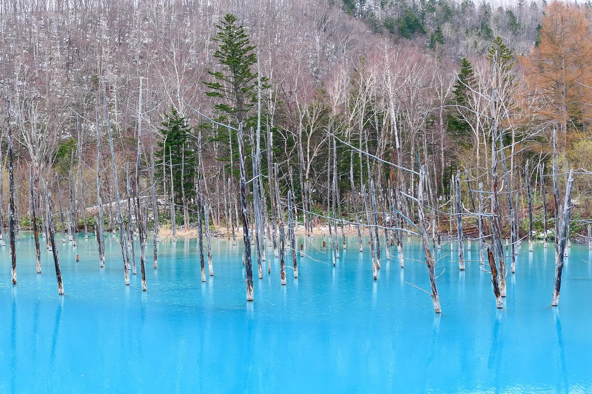 Biei Blue-pond