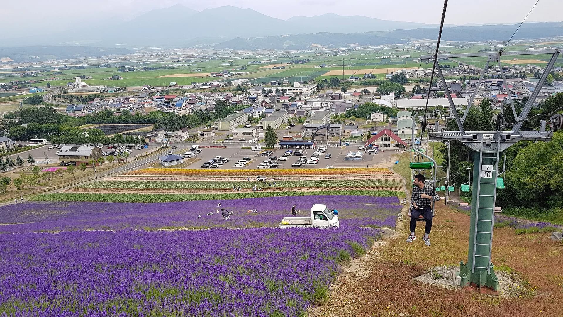 Lavender fields, Furano (48254611081)