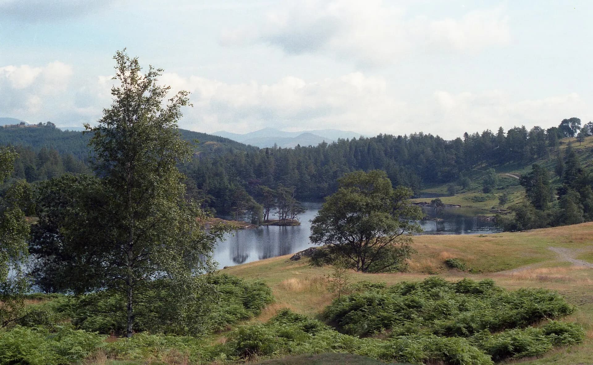 Tarn Hows, Lake District, Cumbria (200294) (9451060151)