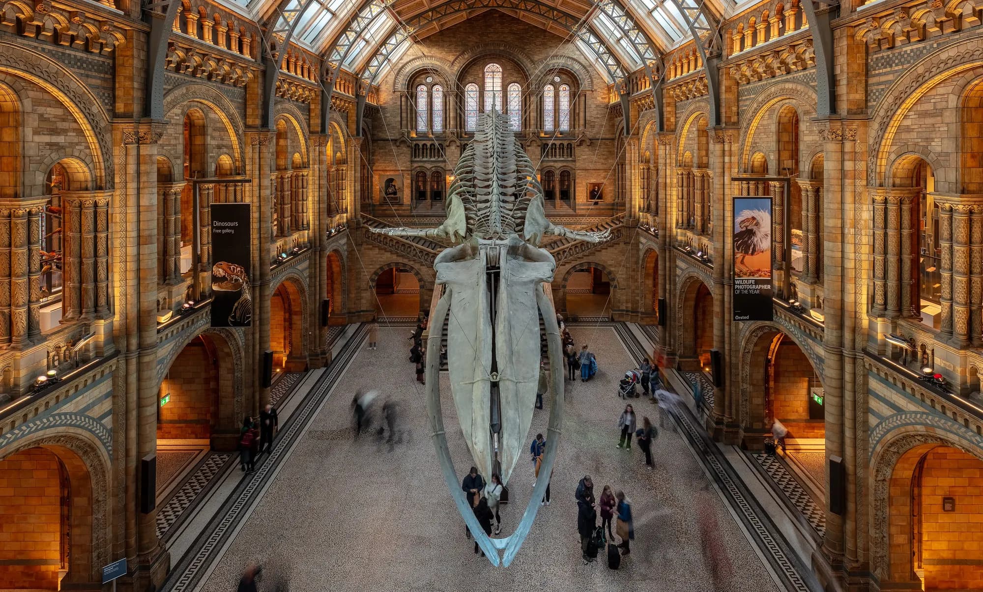 Museo de Historia Natural, Londres, Inglaterra, 2022-11-25, DD 50-52 HDR