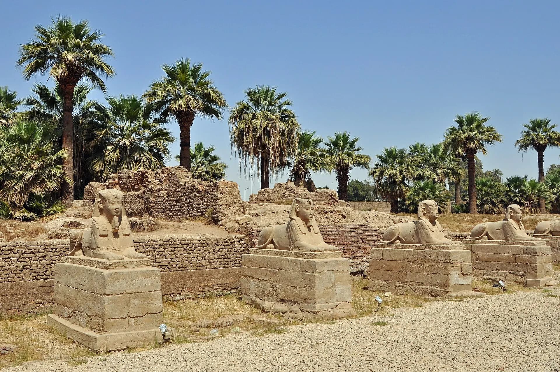 Luxor Dromos R03