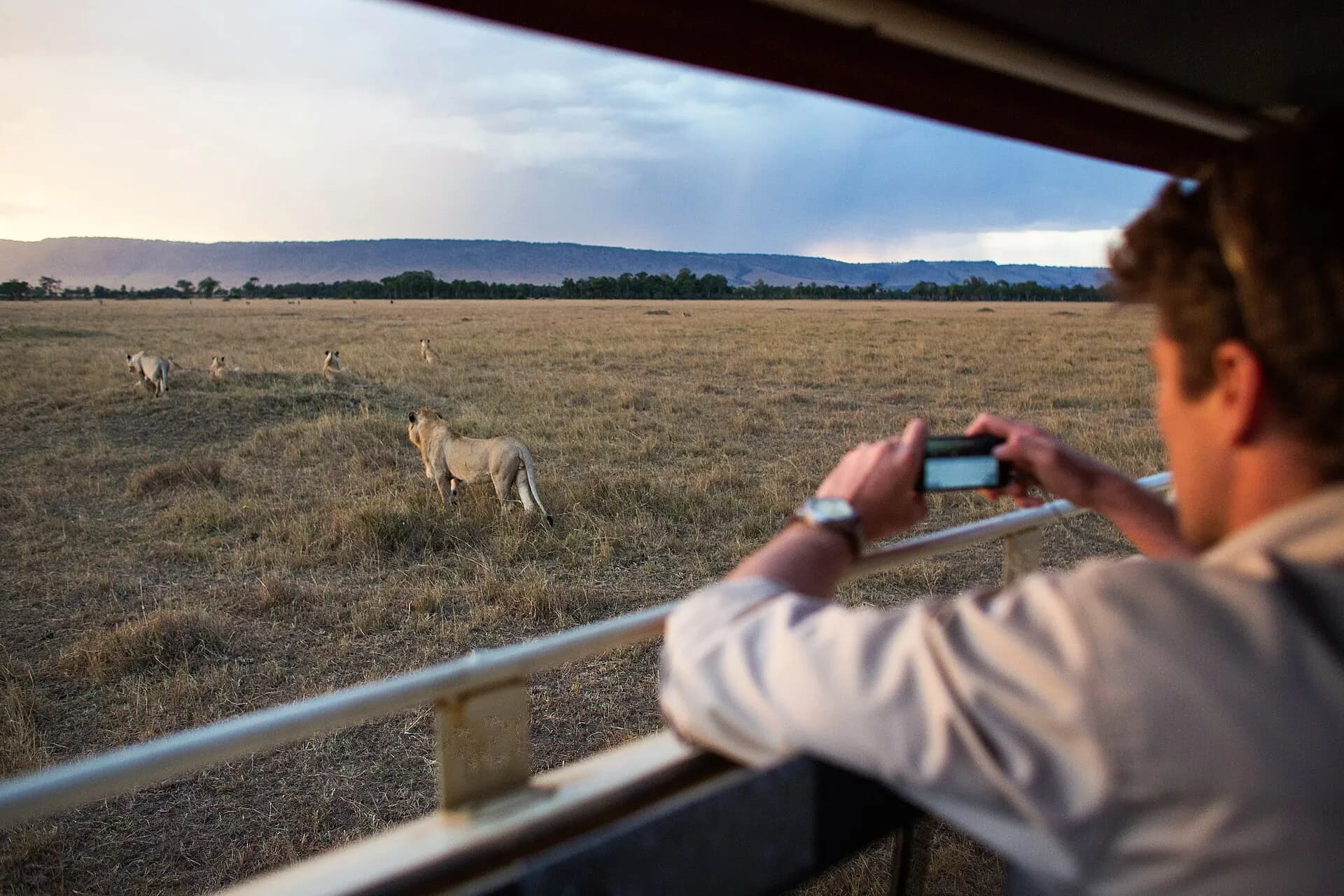 Masai Mara, Kenya (2015)