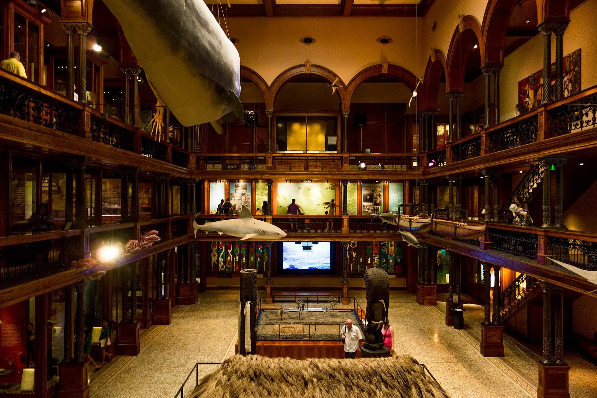 Bishop Museum - Hawaiian Hall (22471193507)