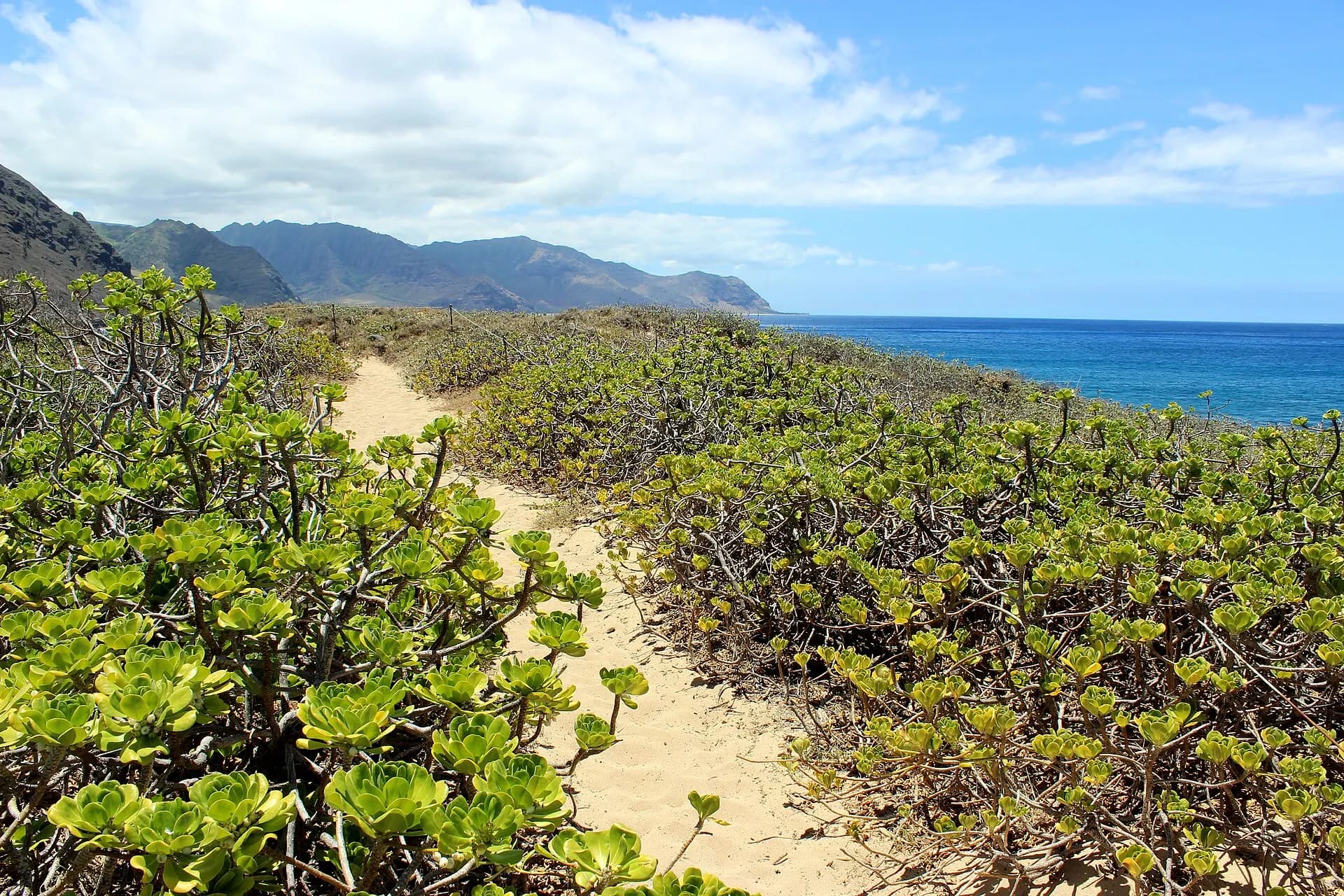 Kaena Point, Oahu, Hawaii - panoramio
