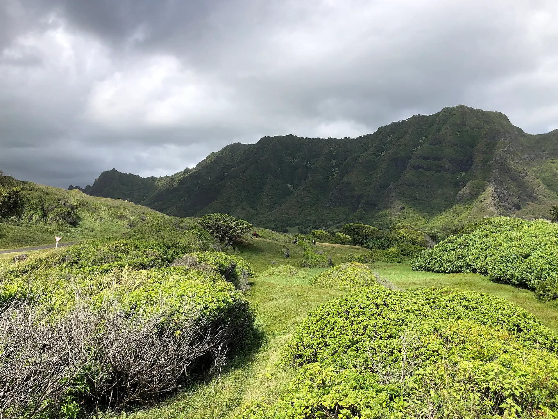 2021-10-06 10 35 10 View west up Kaʻaʻawa Valley from Hawaii State Route 83 (Kamehameha Highway) near Ka‘Ō‘Io Point on Oahu, Hawaii
