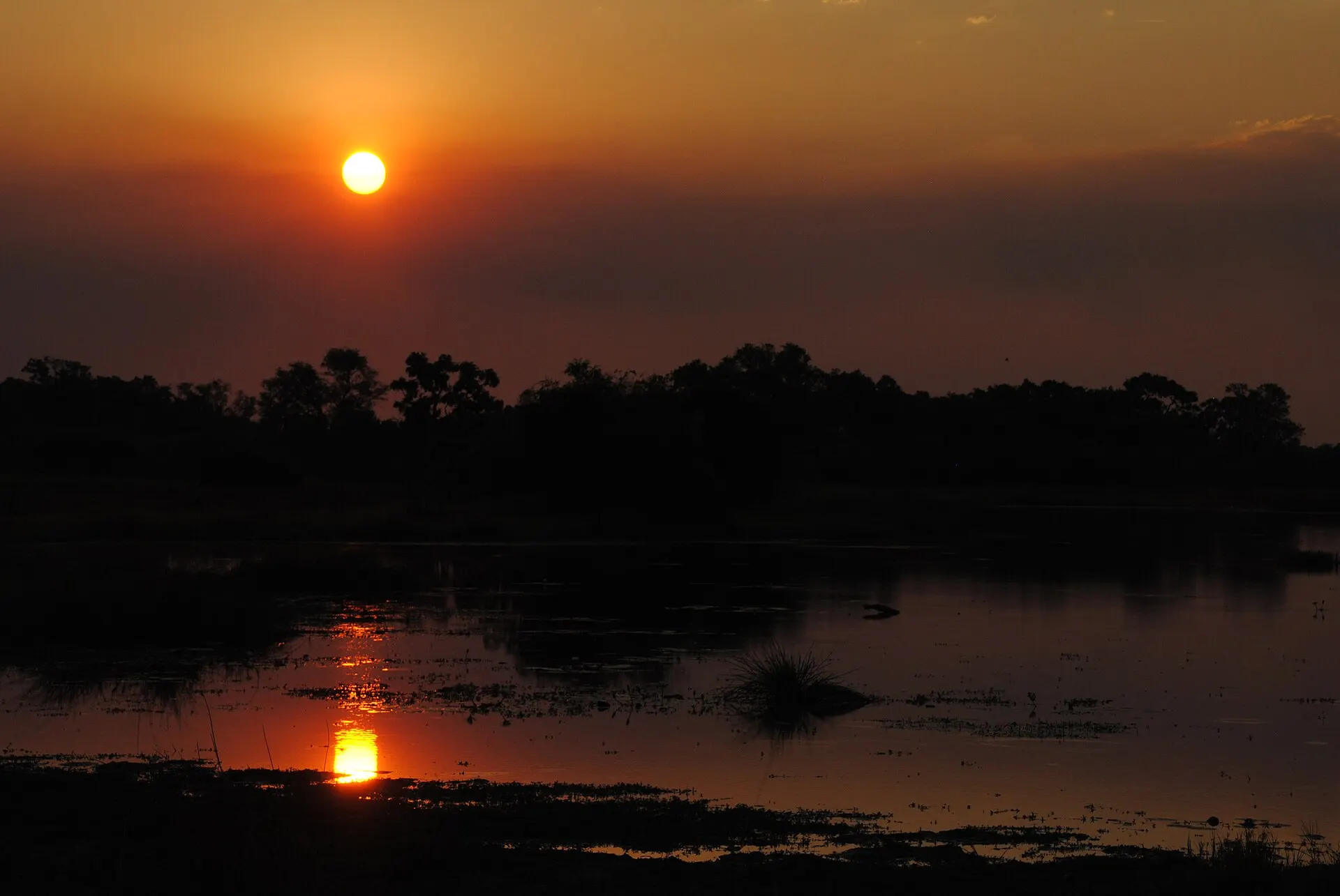Sunset in Moremi Game Reserve - Botswana - panoramio