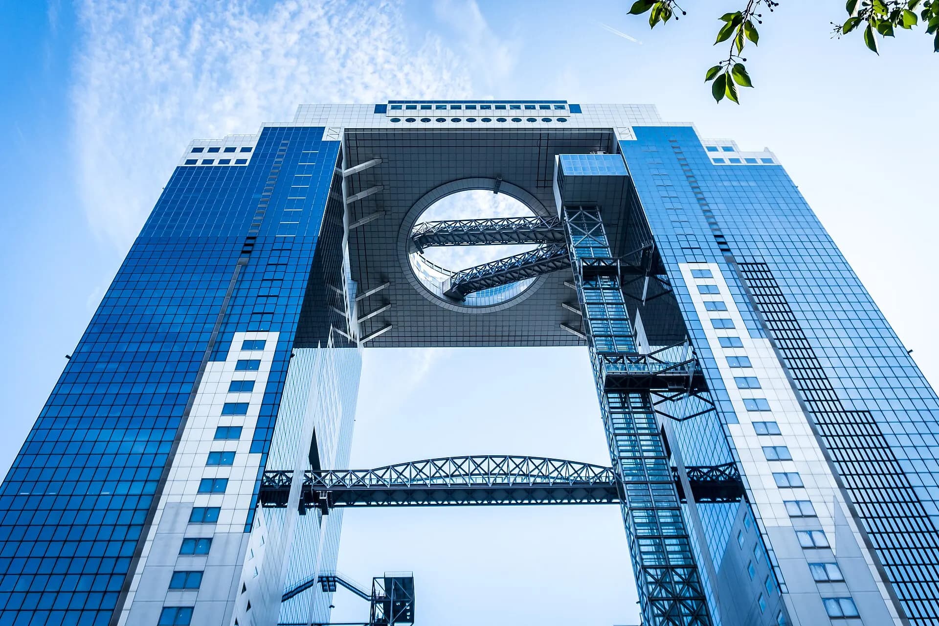 Building the Sky (48338486027)