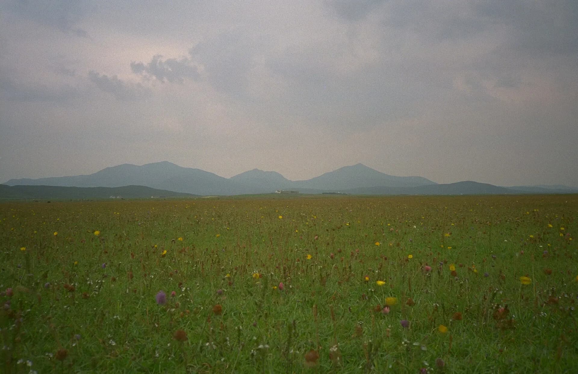 South Uist machair (timniblett)