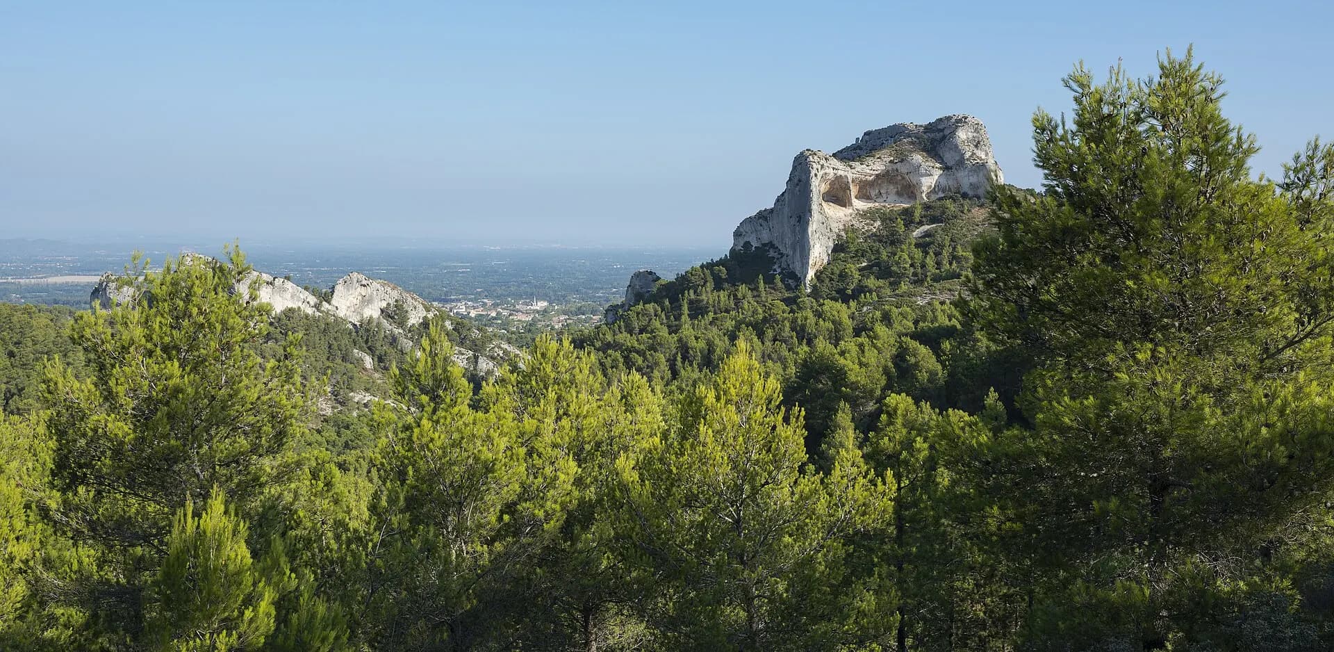 Landscape in Saint-Rémy-de-Provence cf01