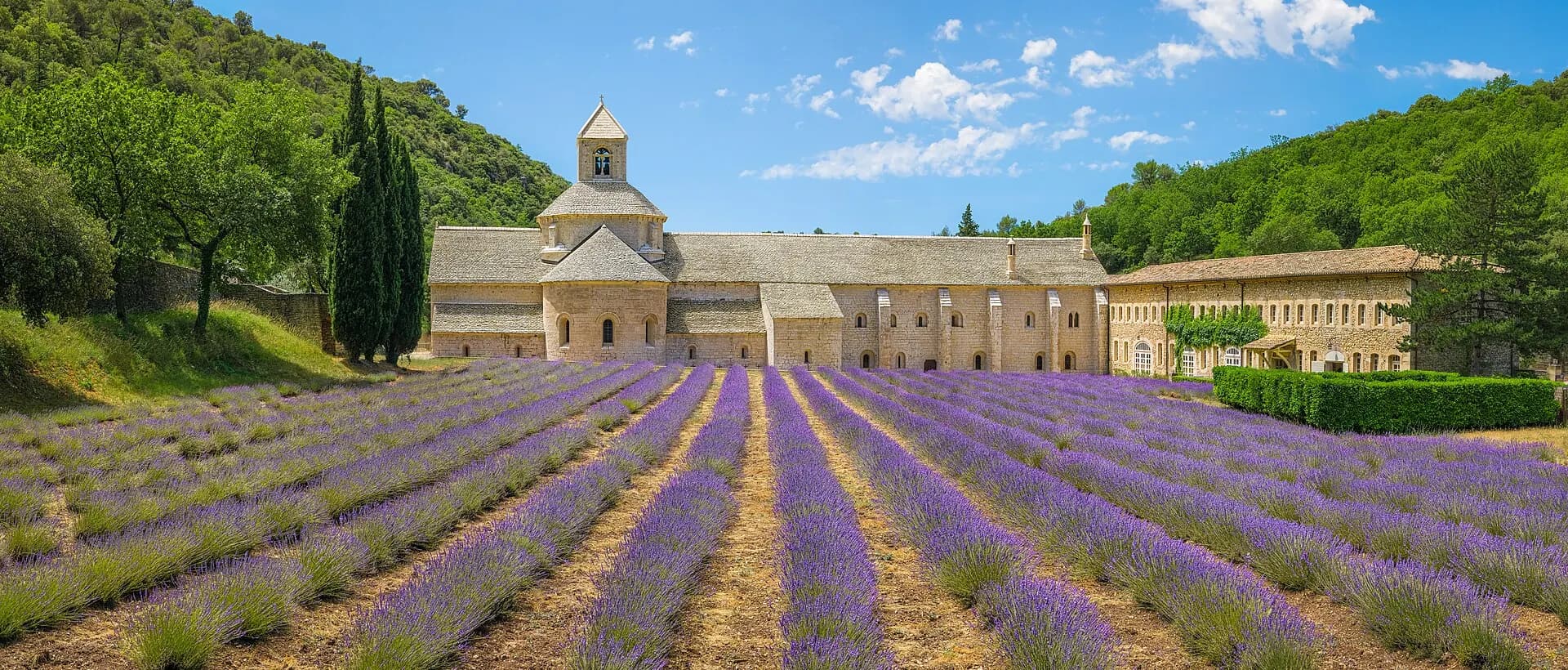 Abbaye Notre-Dame de Sénanque, 2022