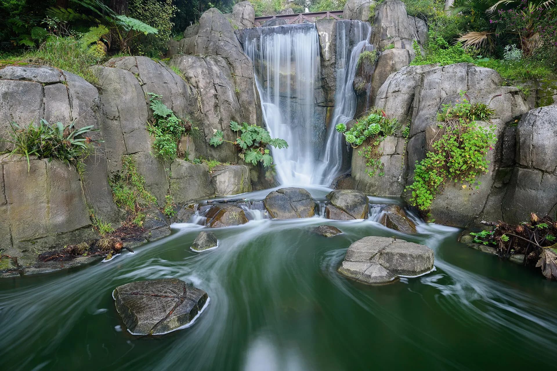Golden Gate Park San Francisco December 2016 006