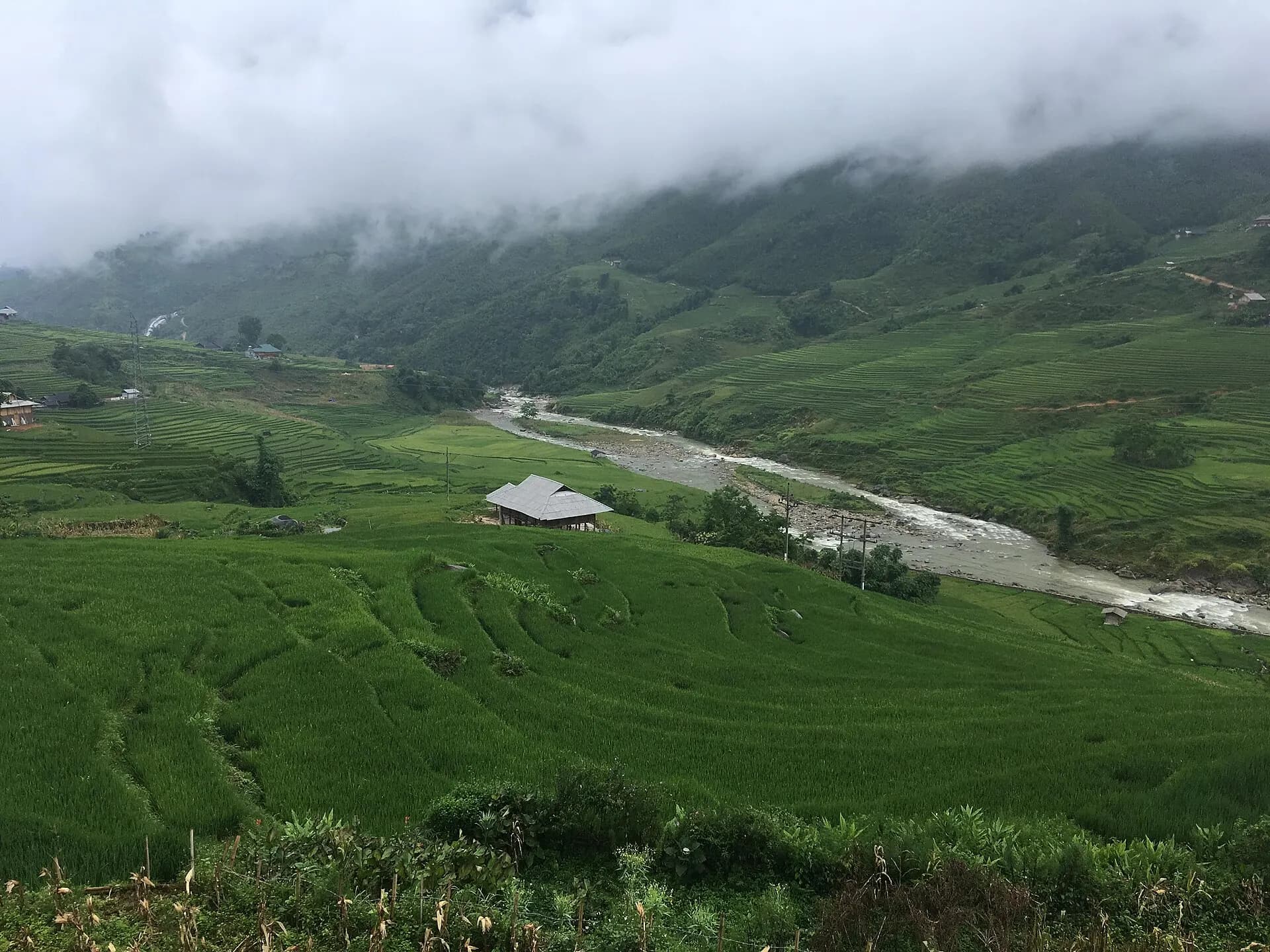 Mường Hoa Valley 03