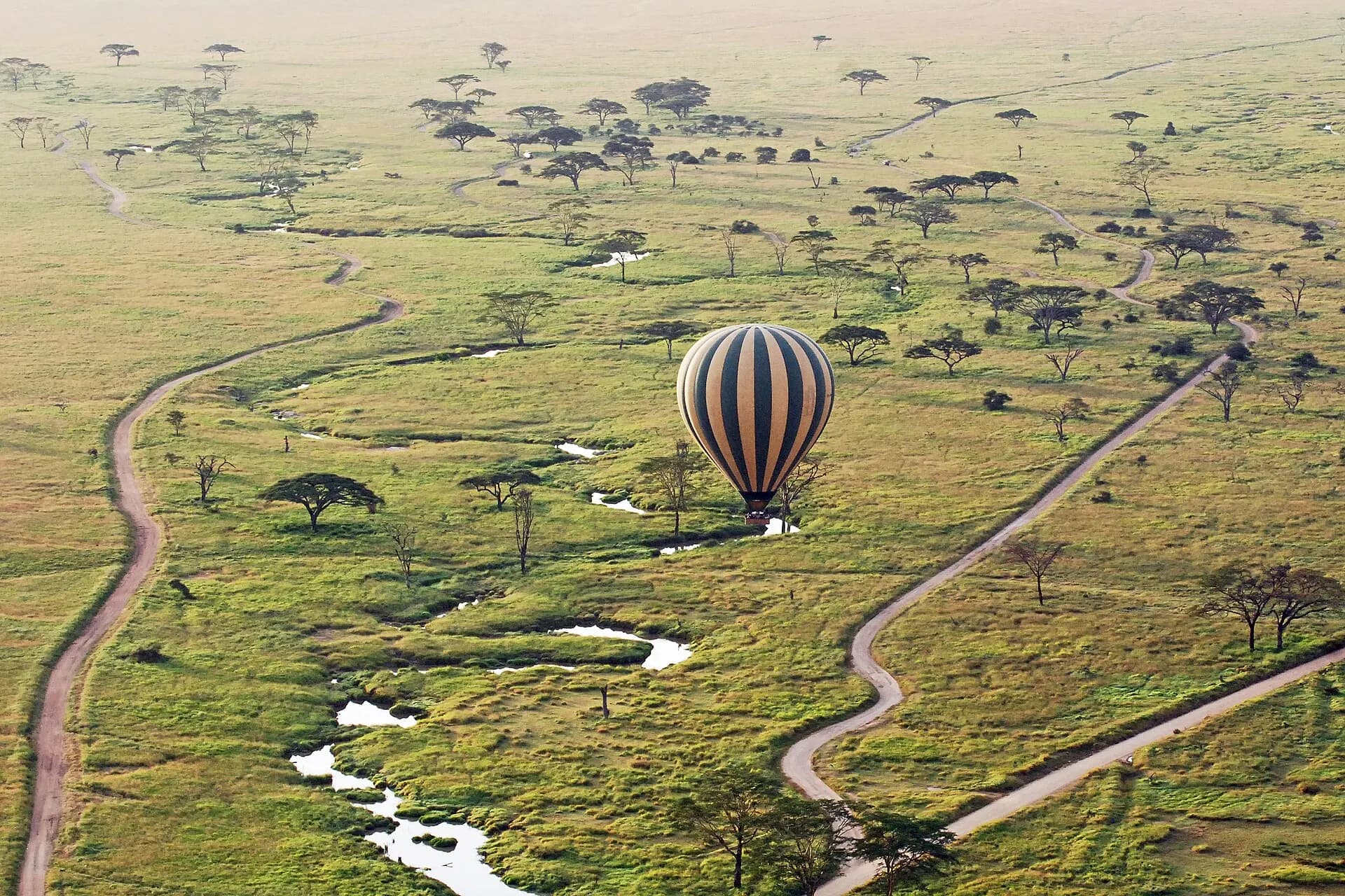 Balloon Safari 2012 06 01 3126 (7522678450)