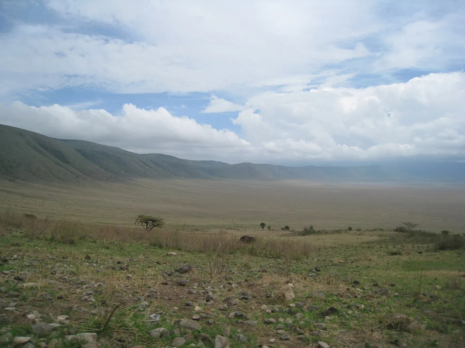 Ngorongoro landscape (crater rim)