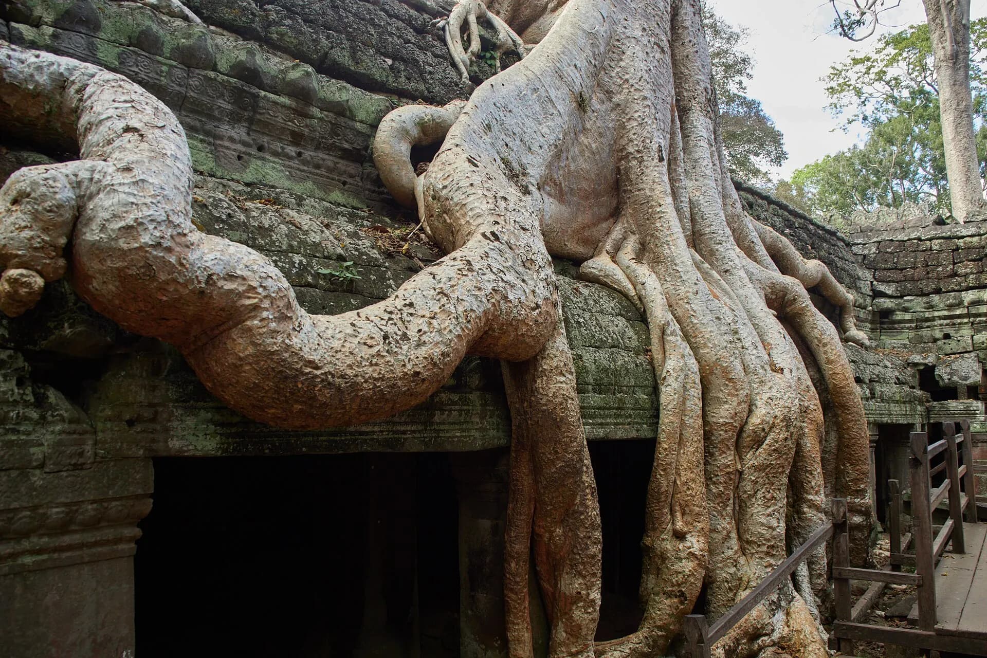 Ta Prohm - TaProhm1265