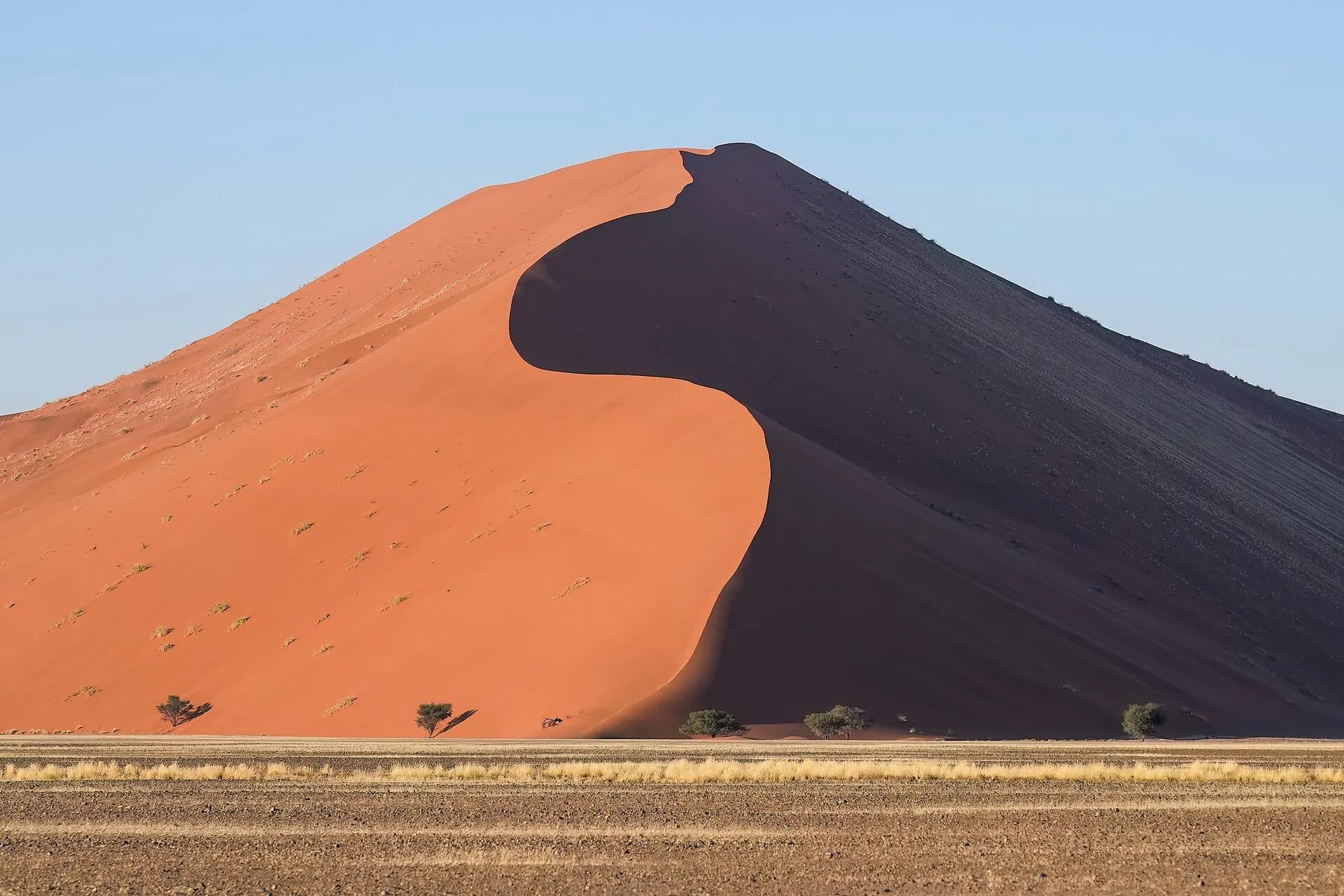 006 Dune 45 in Sossusvlei at sunrise Photo by Giles Laurent