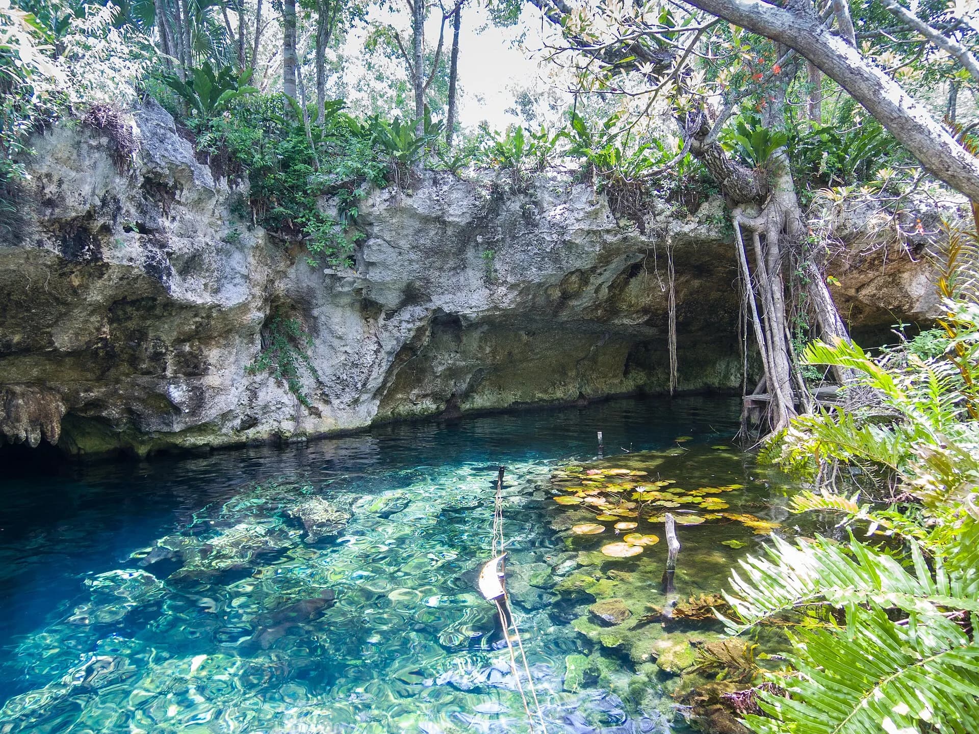 Gran cenote Tulum (20767214144)