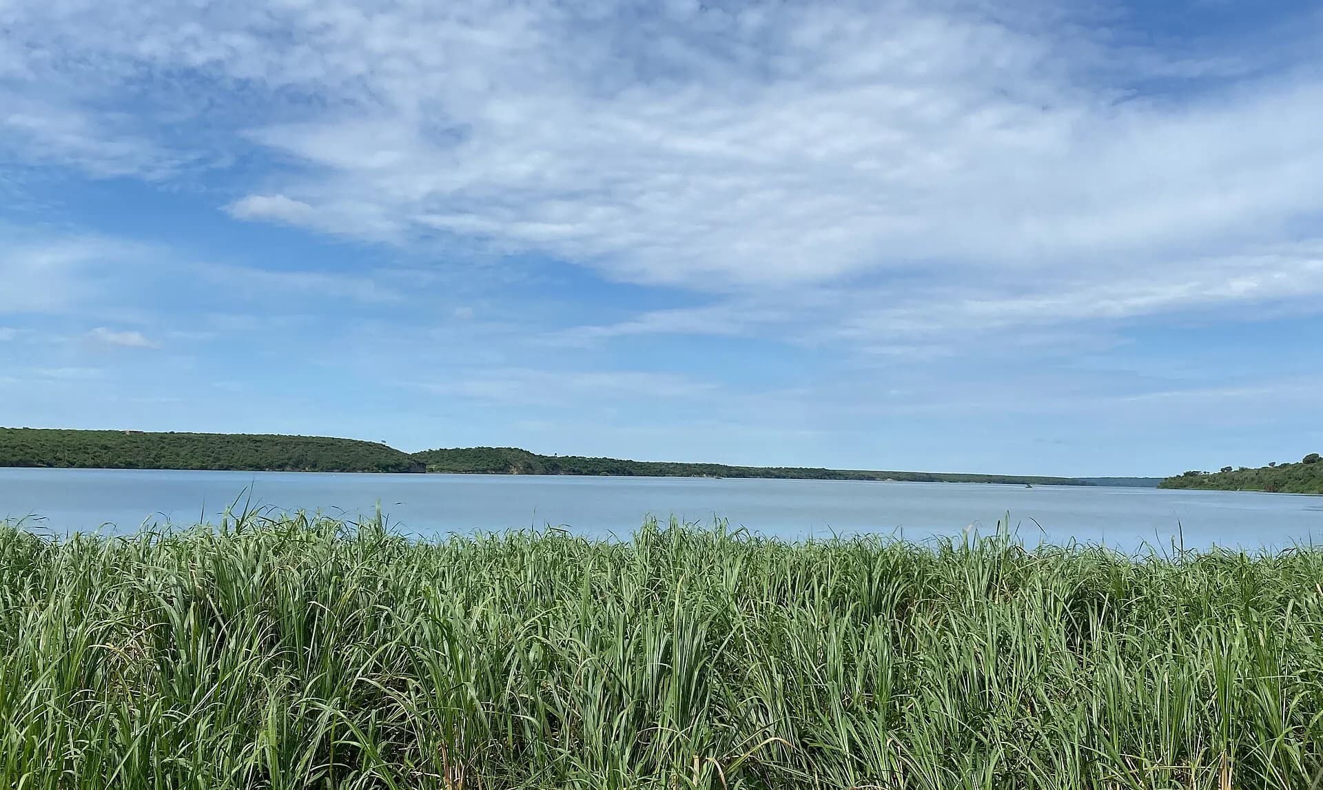 Water of kazinga channel in Kasese District