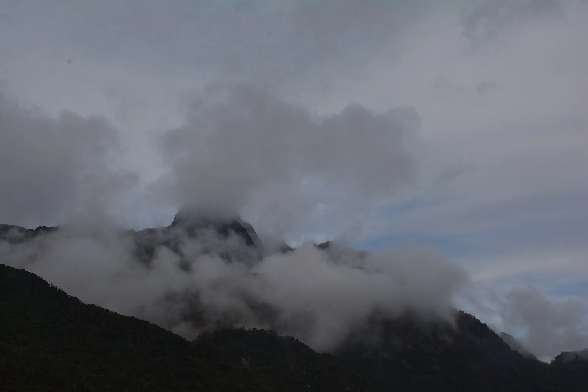 Rwenzori 25