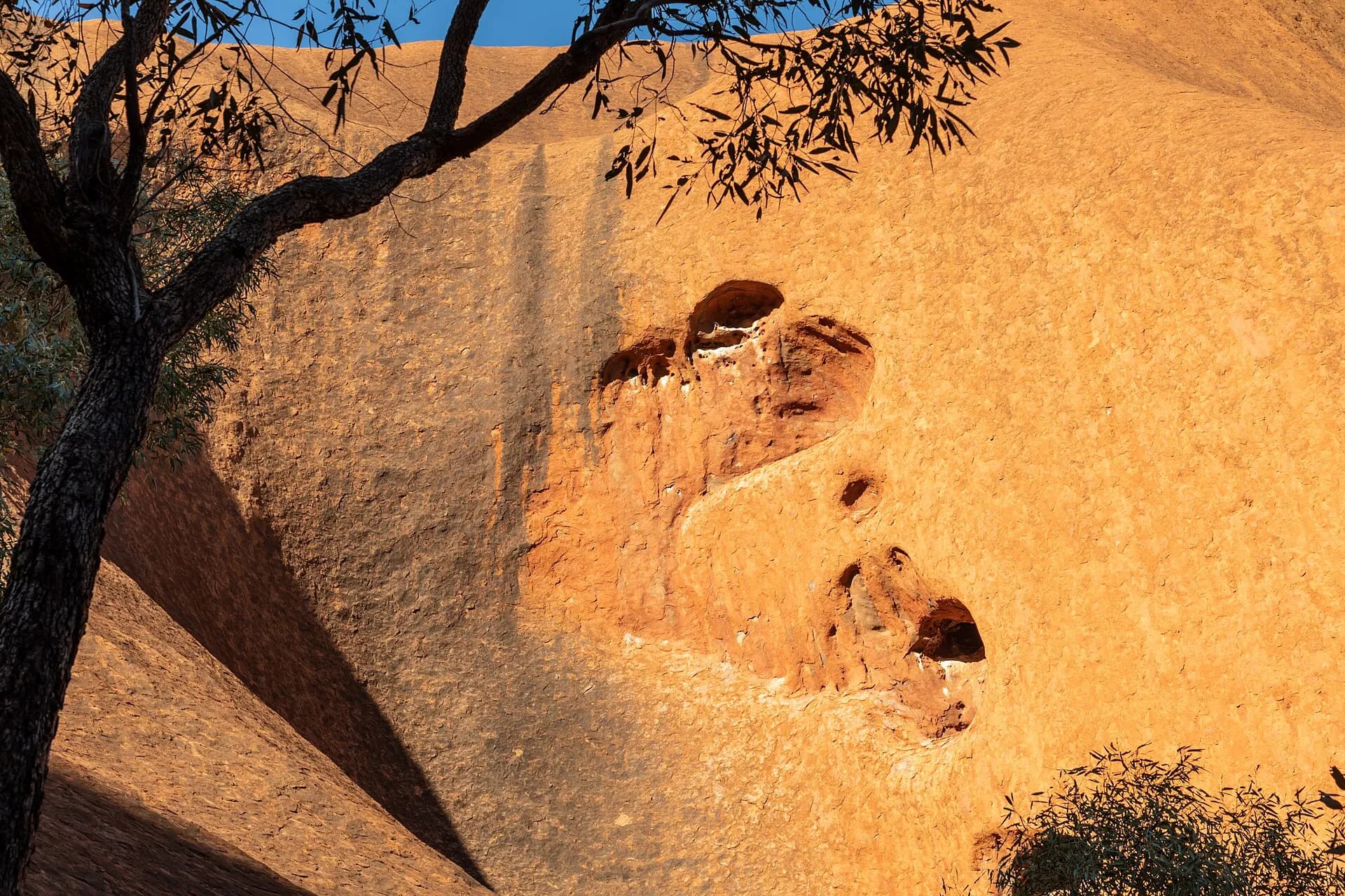 Petermann Ranges (AU), Uluru-Kata Tjuta National Park, Uluru, Kuniya Walk -- 2019 -- 3651