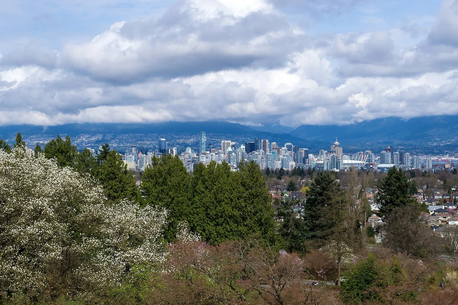 Vancouver from Queen Elizabeth Park