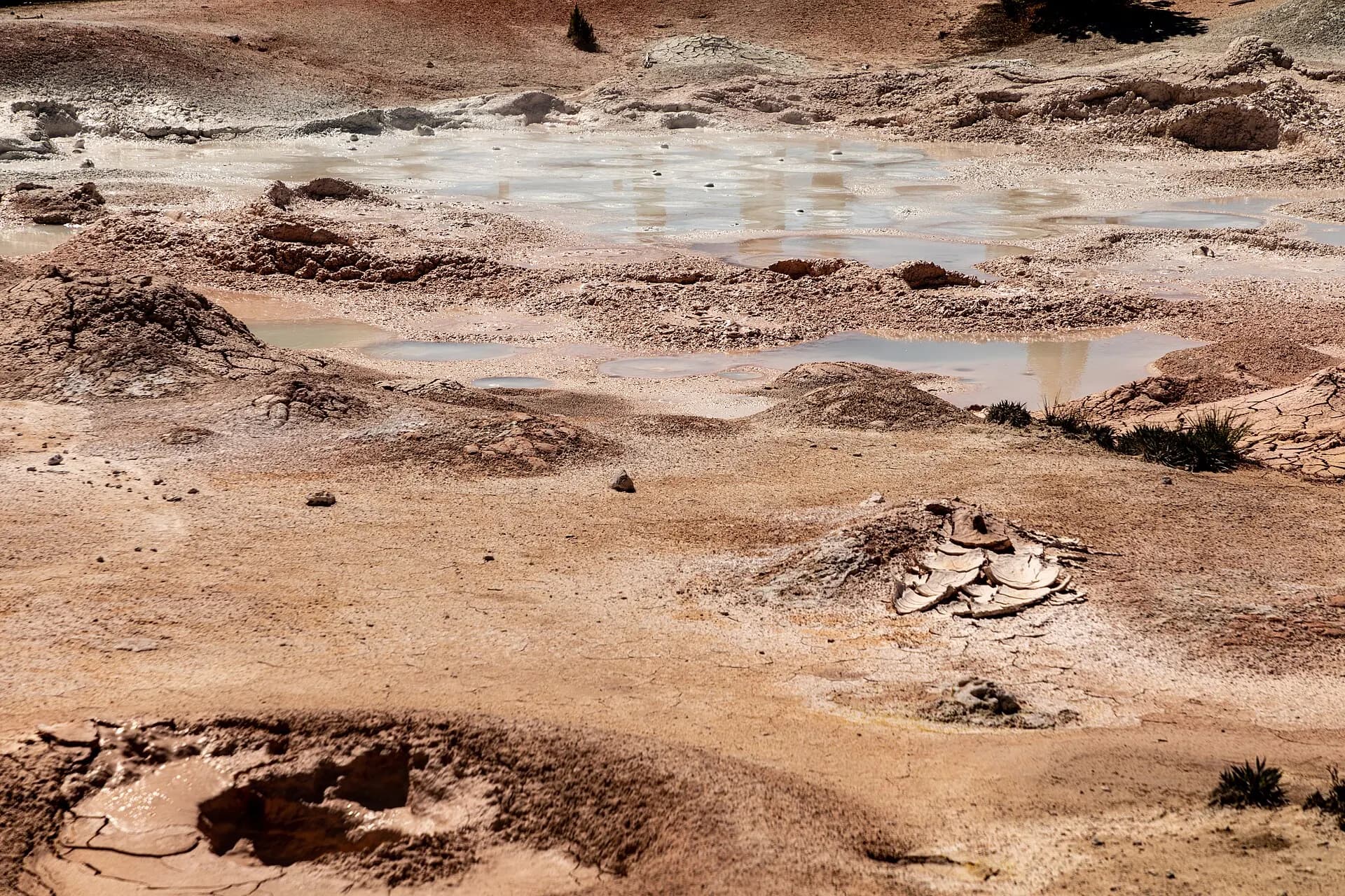 Yellowstone National Park (WY, USA), Lower Geyser Basin -- 2022 -- 2450