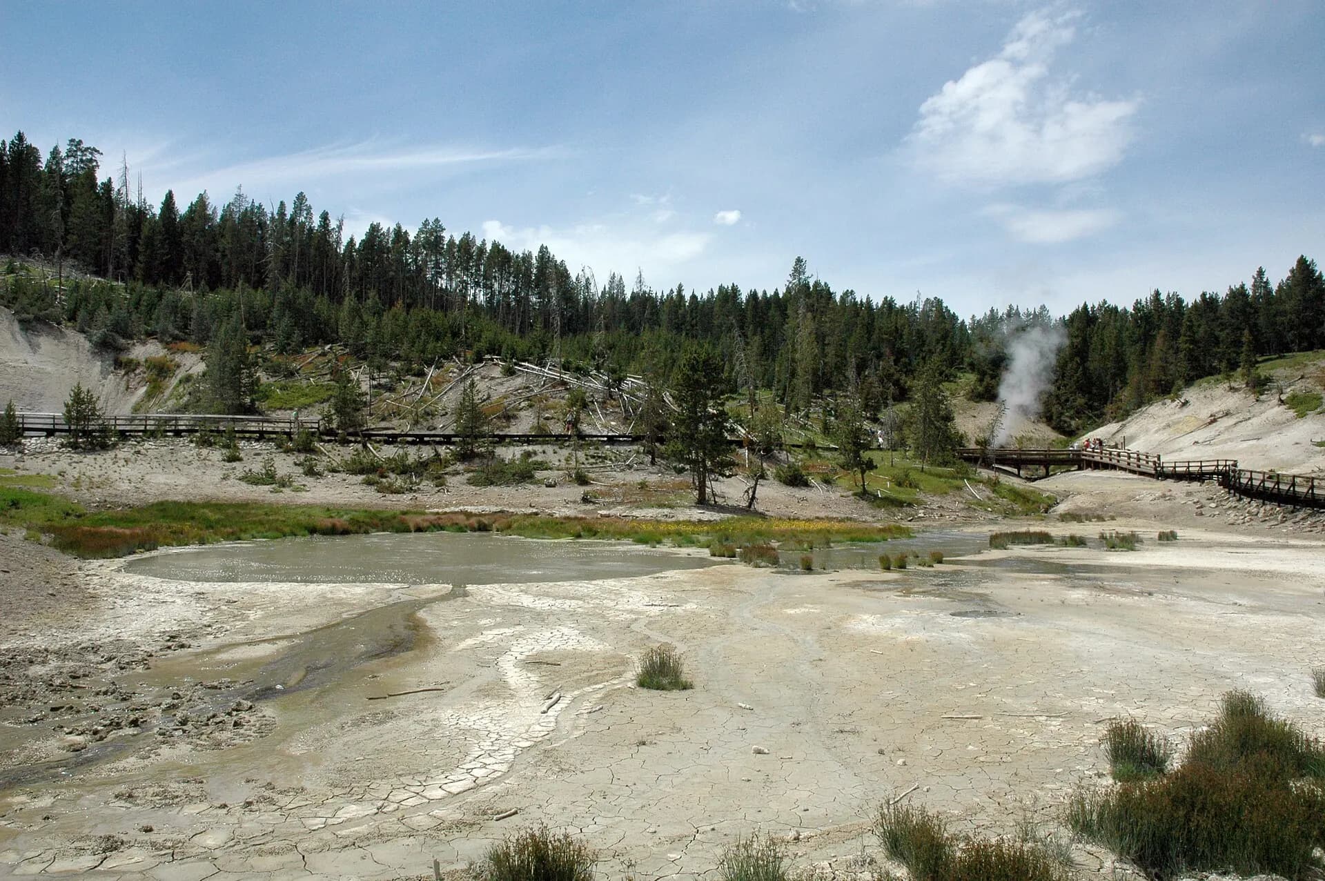 Mud Volcano Area, view towards Dragon's Mouth Spring, Yellowstone National Park, 2009