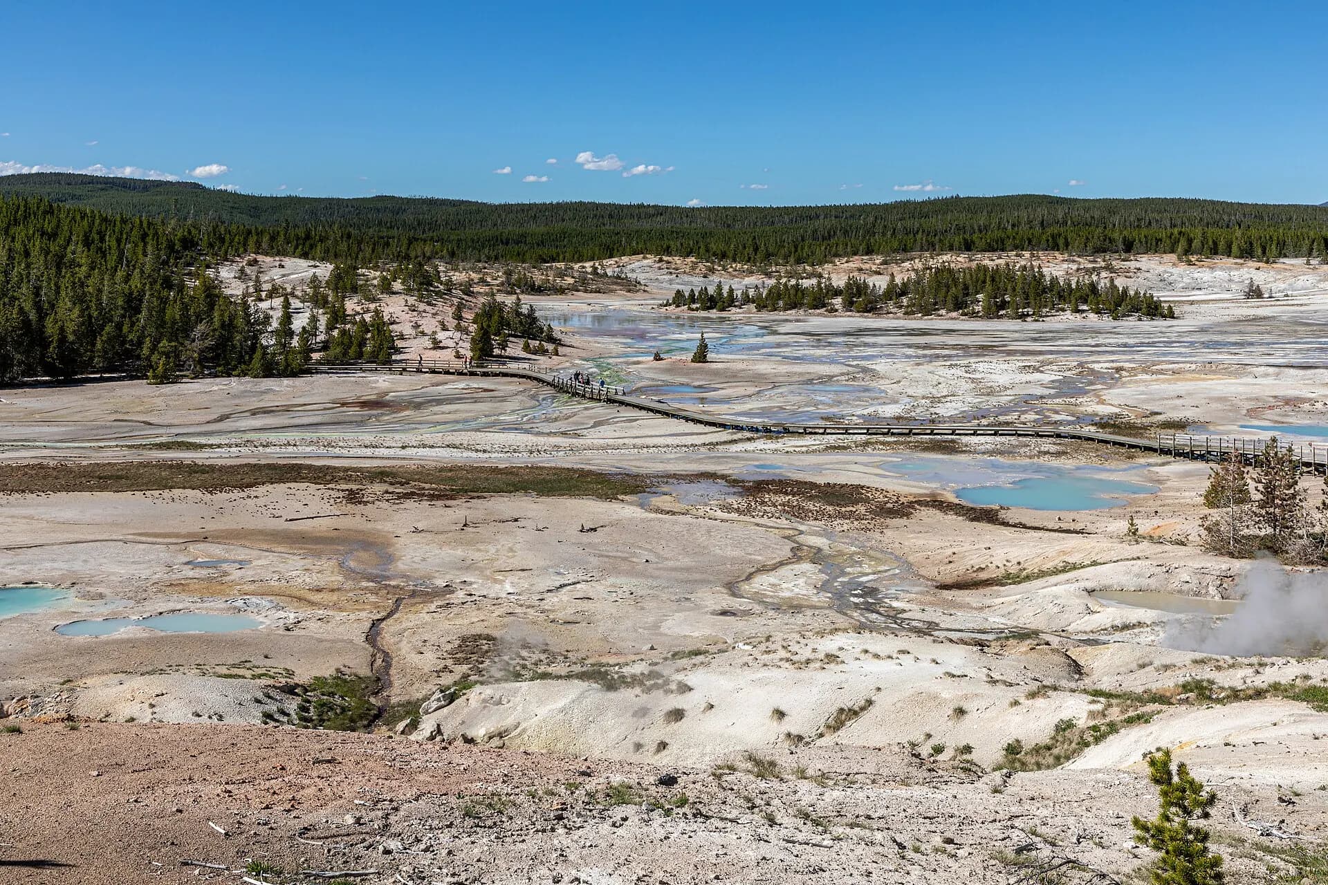 Yellowstone National Park (WY, USA), Norris Geyser Basin -- 2022 -- 2681