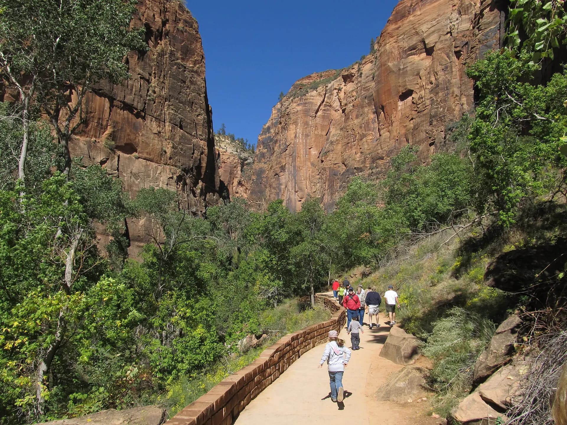 Riverside Walk to Zion Narrows, Zion Canyon, Zion National Park, Utah (8096066362)