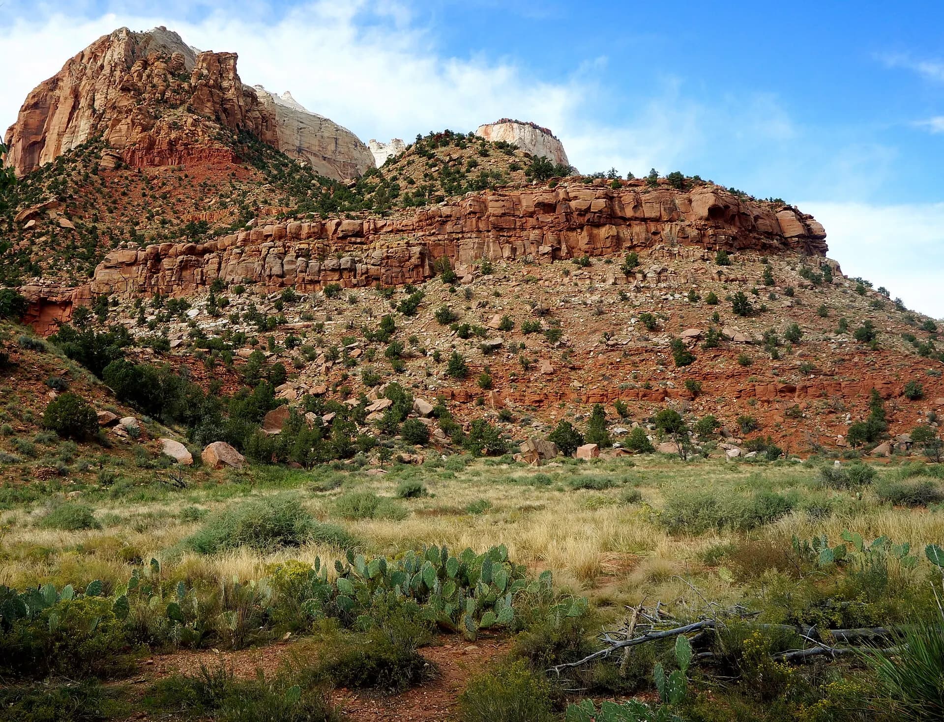 Navajo Sandstone formations in Zion National Park, Utah.- (USA 2016)