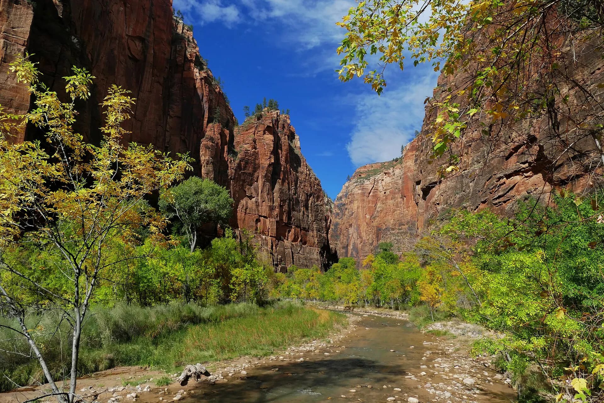 Virgin River Zion NP. (30595616656)